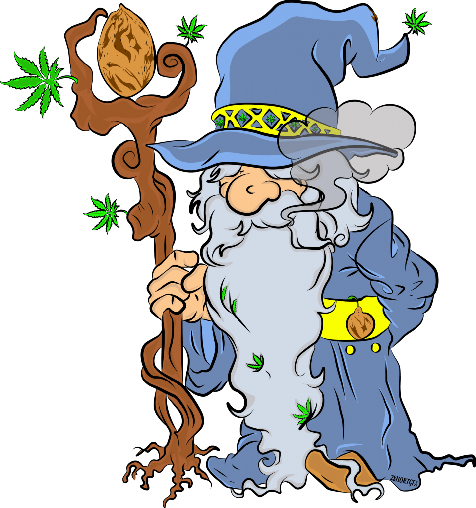 wizARD LOGO NO BACKROUND